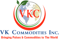 VKC logo