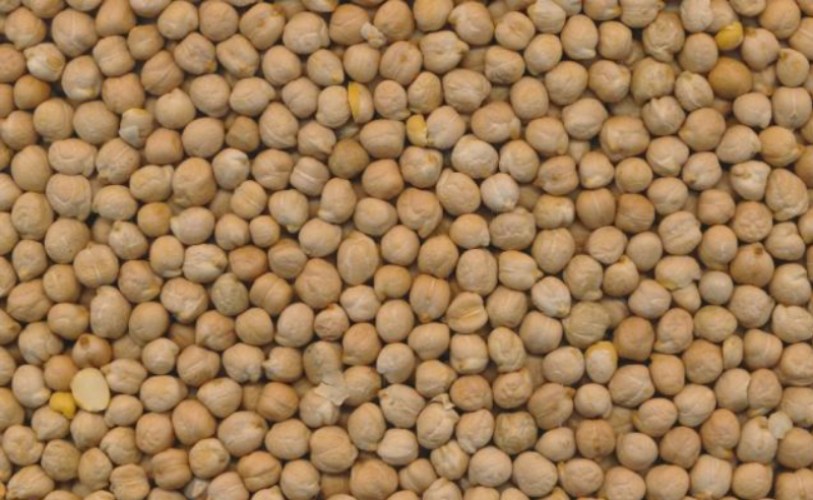 Kabuli Chickpeas