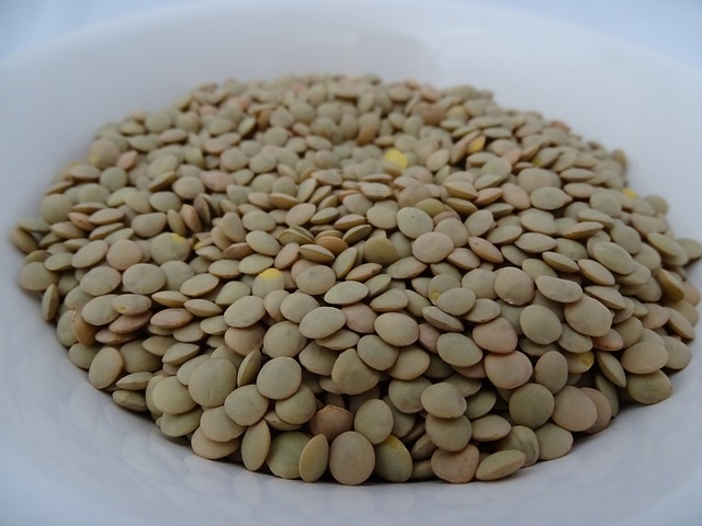 Large Green Lentils