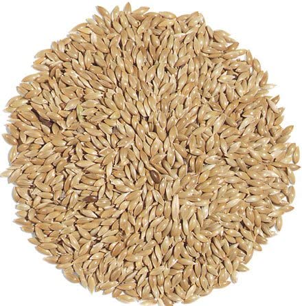 Canary seeds