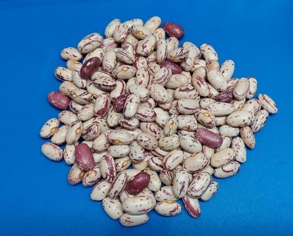 Cranberry beans