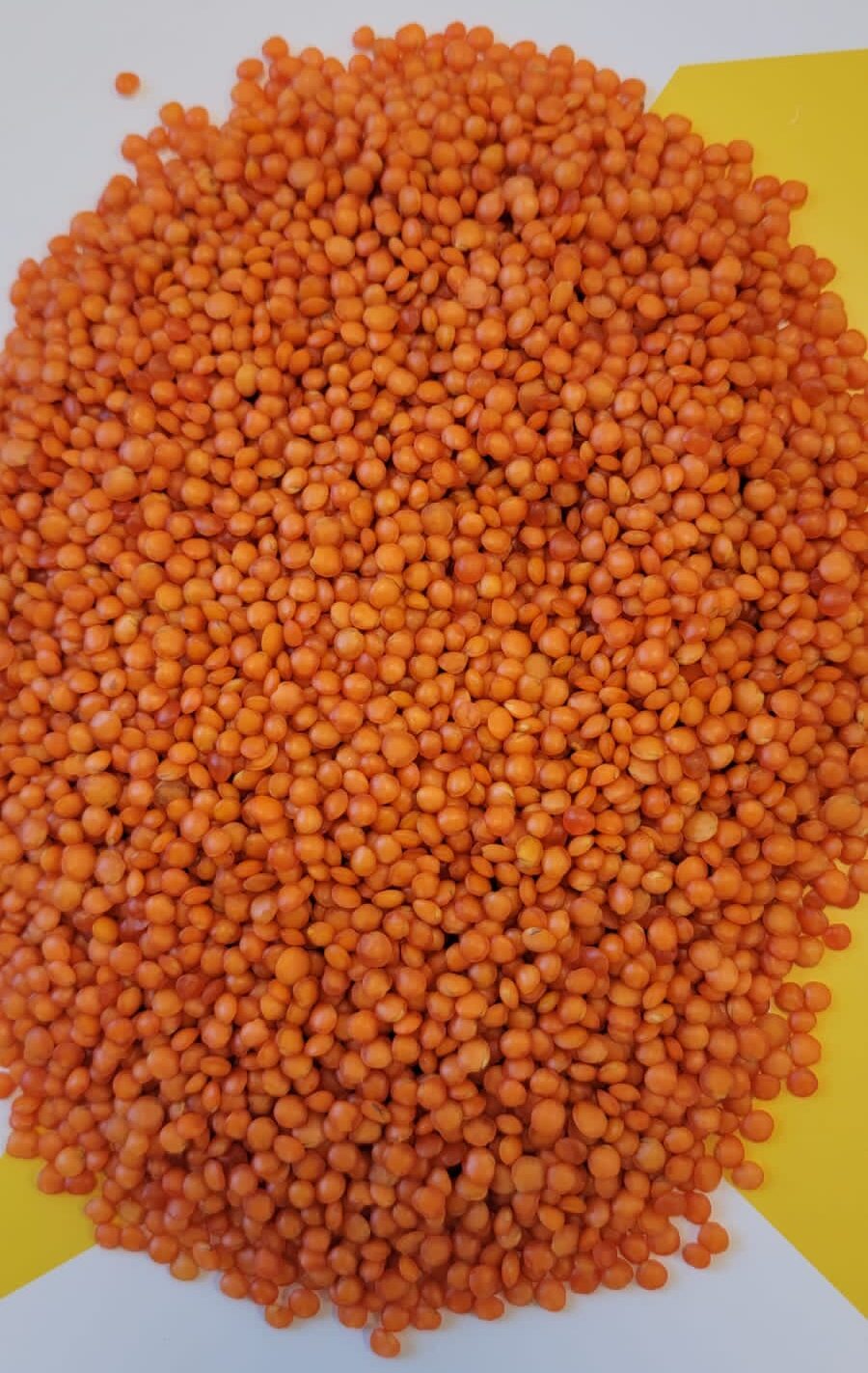Football Lentils