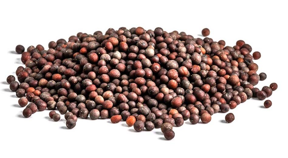 Mustard-Seeds-Brown