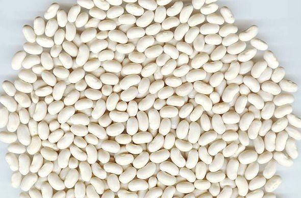 Navy beans
