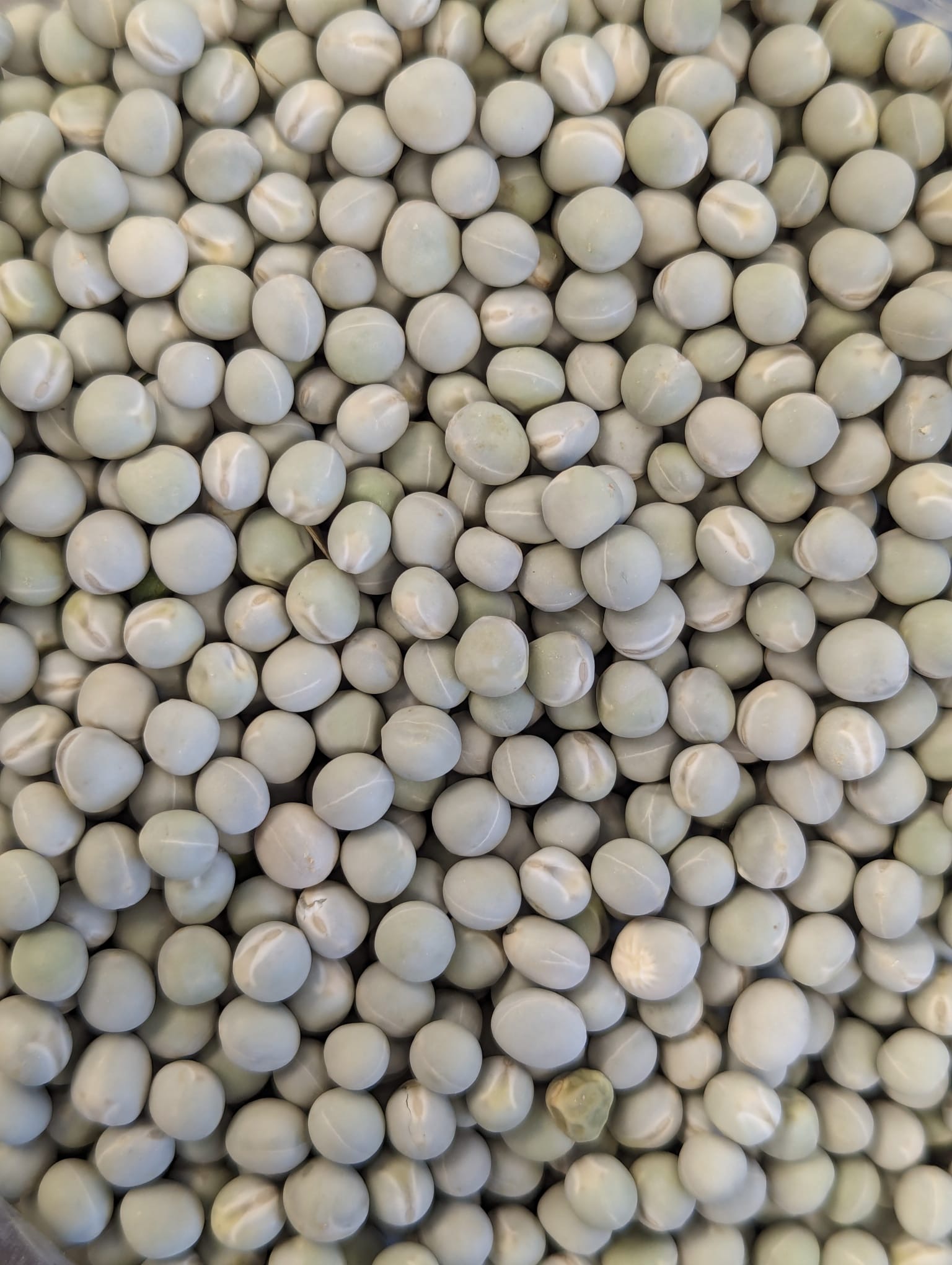 Whole Green Peas