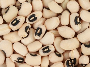 Black Eye beans