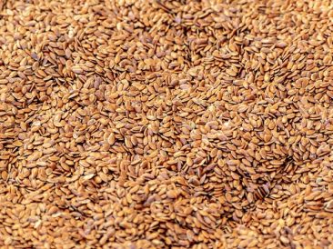 Brown Flax