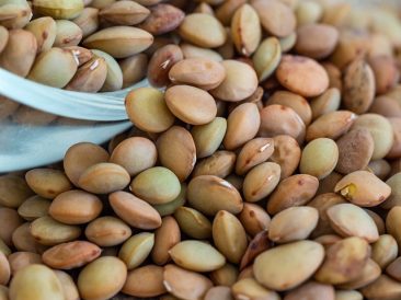 Eston lentils
