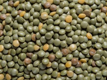 French Green Lentils