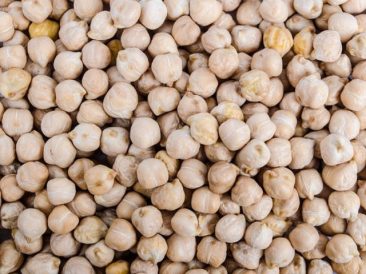 Kabuli Chickpeas