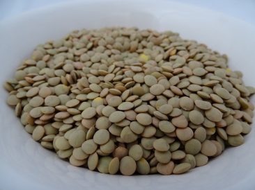 Large Green Lentils