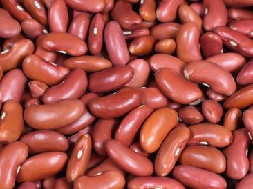 Light Red Kidney Beans