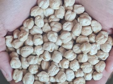 Mexican Chickpeas