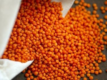 Red Whole Football Lentils