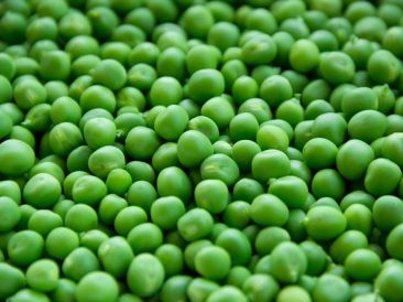 Whole Green Peas